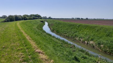 Lode