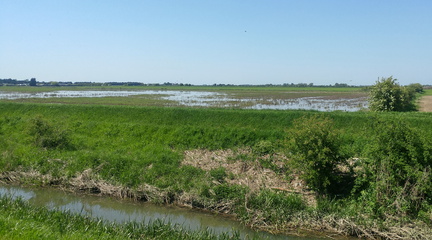 Flooding