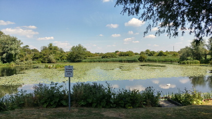Roswell Pits