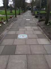 Path