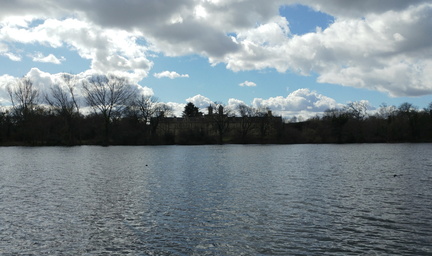 Across the lake