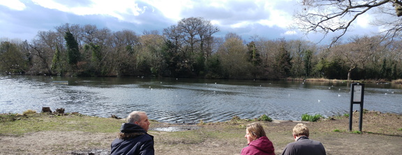 Across the lake