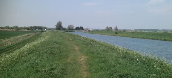 Ely