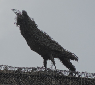 Thatched bird