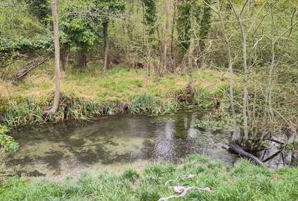 Stream