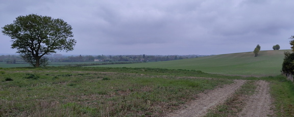 Landscape