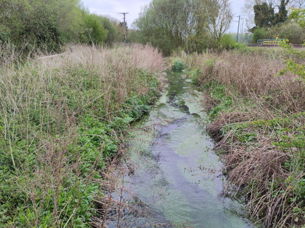 Stream