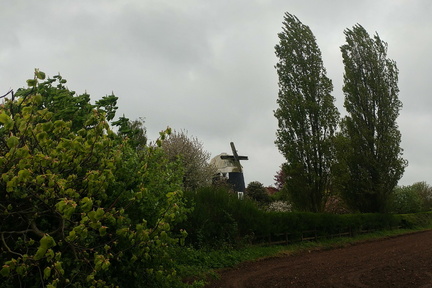 Windmill