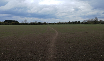 Field