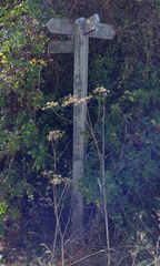 Signpost