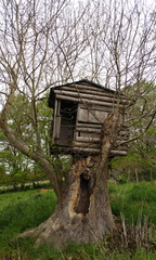 Treehouse