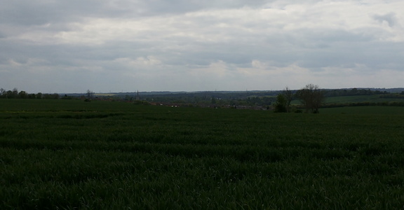 21-SaffronWalden