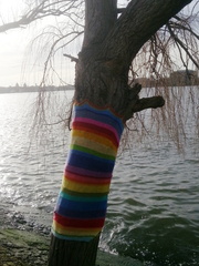 Tree covered in wool