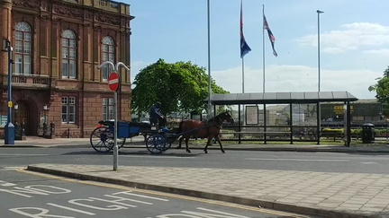 Horse and Cart
