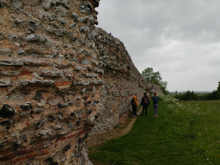 Wall