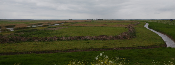 Ditches