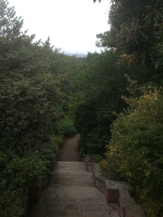 View from the Pergola