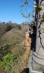 Along the Pergola