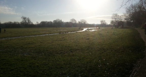 Meadows