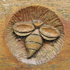 Carving
