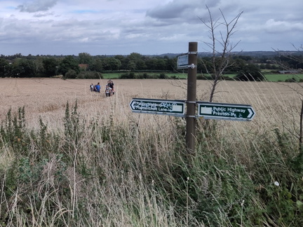 Field