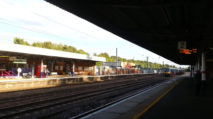 Train