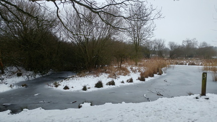 Frozen pond
