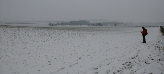 Snowscape