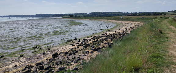 Shoreline