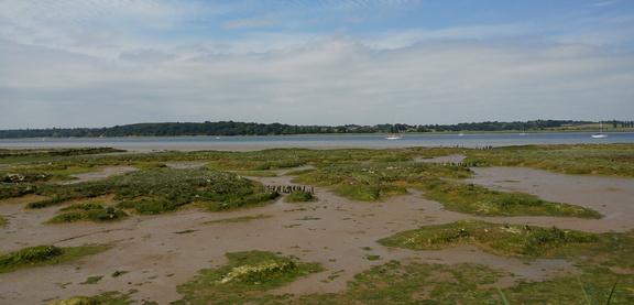 Mud flats