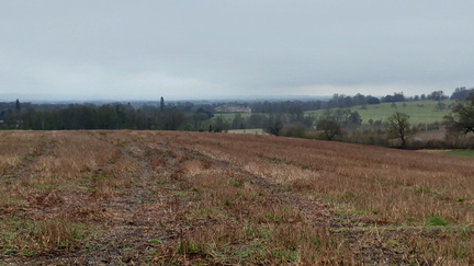 Wimpole Hall
