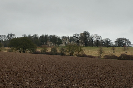 Folly