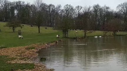 Lakeside