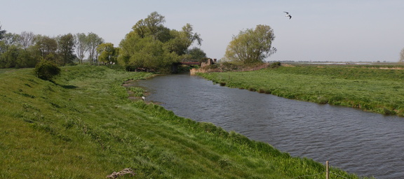 Bridge