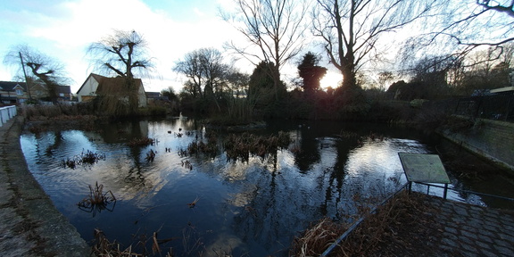 Pond