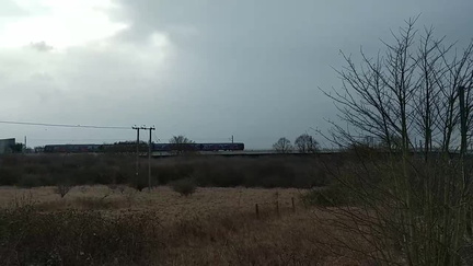 Train
