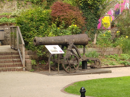 Cannon
