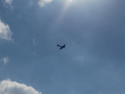 Spitfire