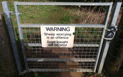 Extreme measures