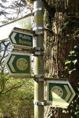 Icknield Way