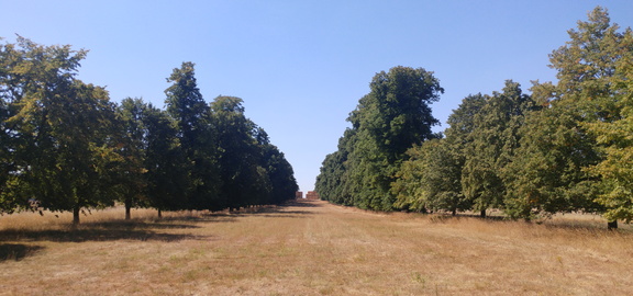 Blocked view