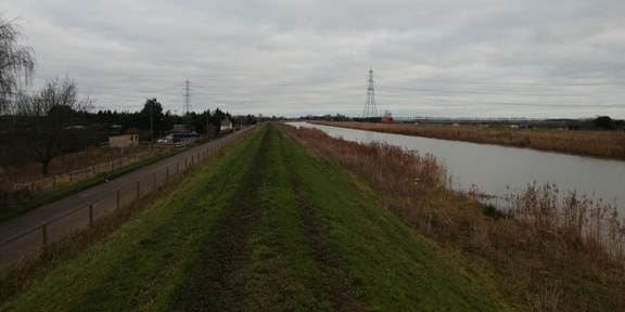 Along the river