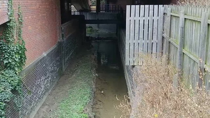 Stream
