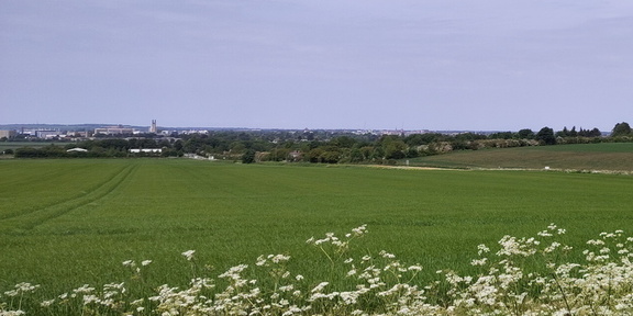 Cambridge skyline