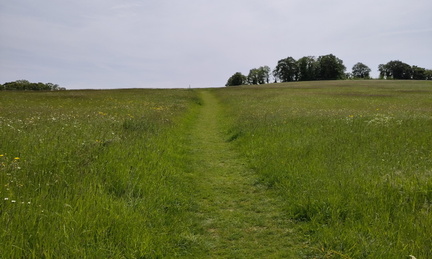 Up the hill