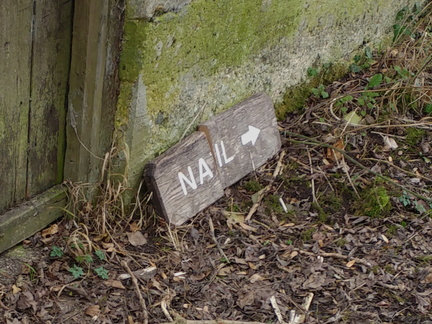 Nail?