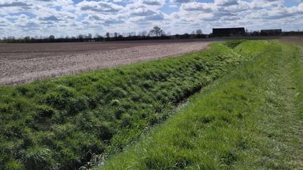 Ditch