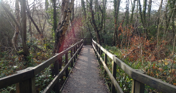Boardwalk