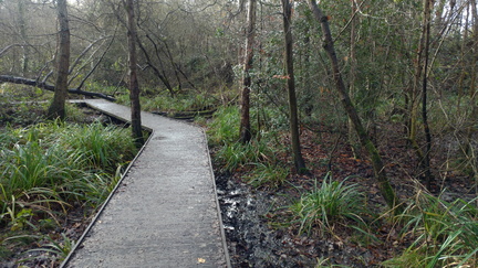 Boardwalk