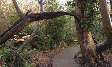 Arch